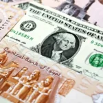 الدولار-يواصل-مكاسبه-في-مصر-ويتجاوز-56-جنيهاً-أخبار.webp.webp